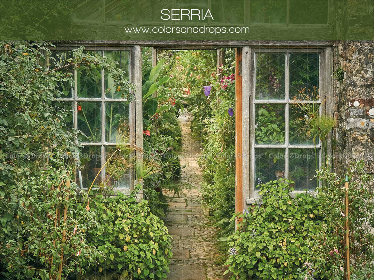 Fondo fotográfico de primavera Serria – invernadero de cristal con pasillo y plantas verdes | Colors&Drops