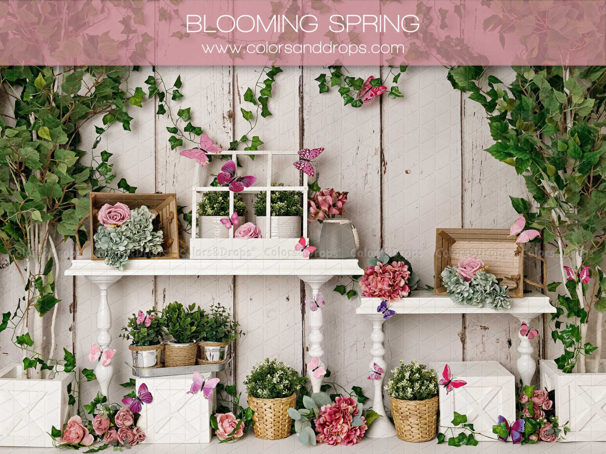 Fondo fotográfico de bebé y smash cake Blooming Spring – pared de madera blanca con estantes, plantas y mariposas | Colors&Drops