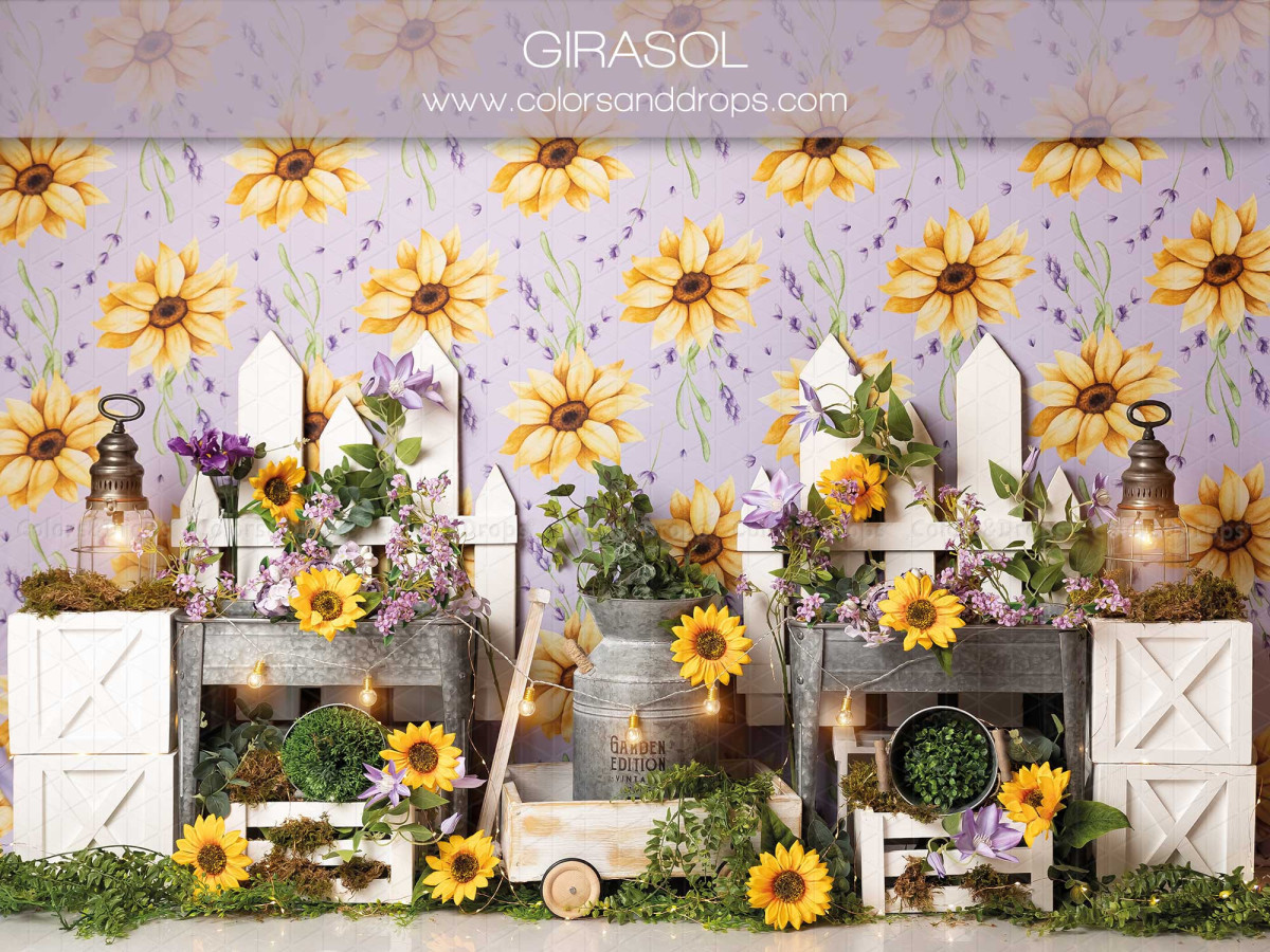 Fond photo bébé et smash cake Girasol – papier peint tournesols avec clôture, lanternes et fleurs | Colors&Drops