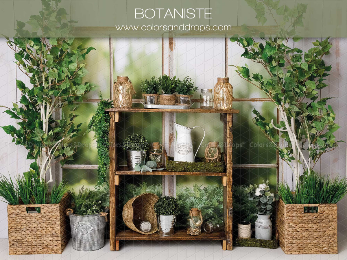 Fondo fotográfico de bebé y smash cake Botaniste – decorado botánico con estantería de madera y plantas | Colors&Drops