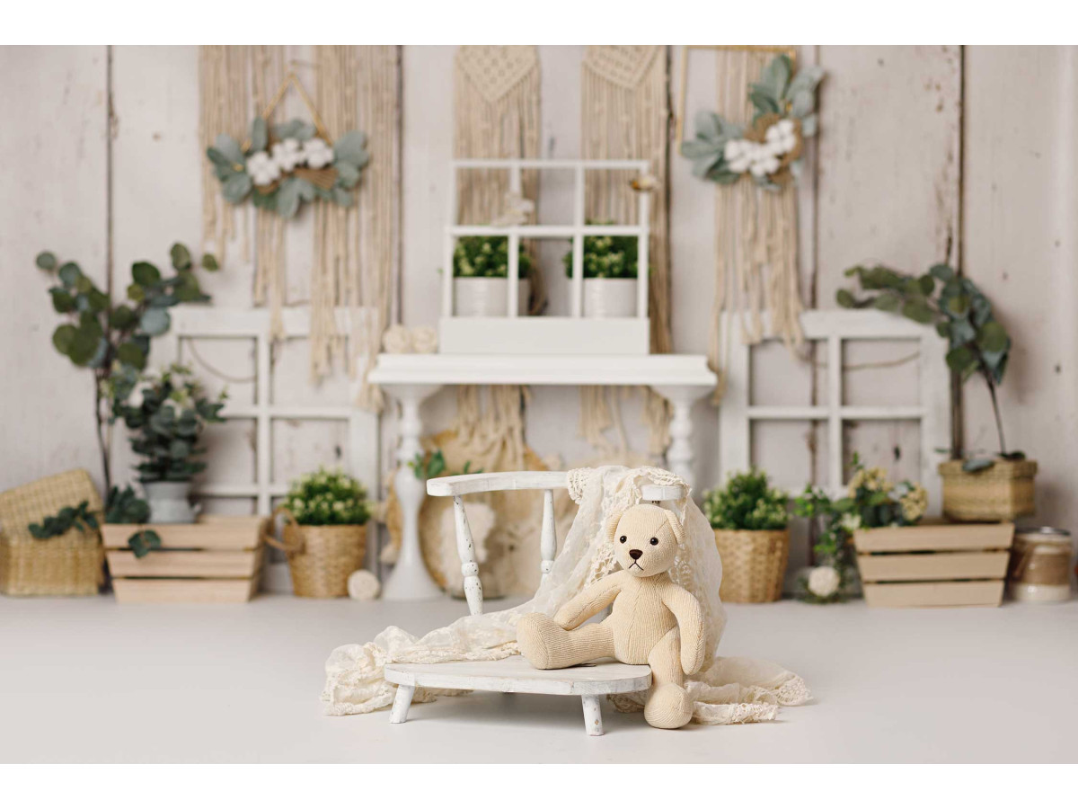Fond photo bébé et smash cake Secret Garden – mur en bois blanc avec macramé, fenêtre et plantes | Colors&Drops