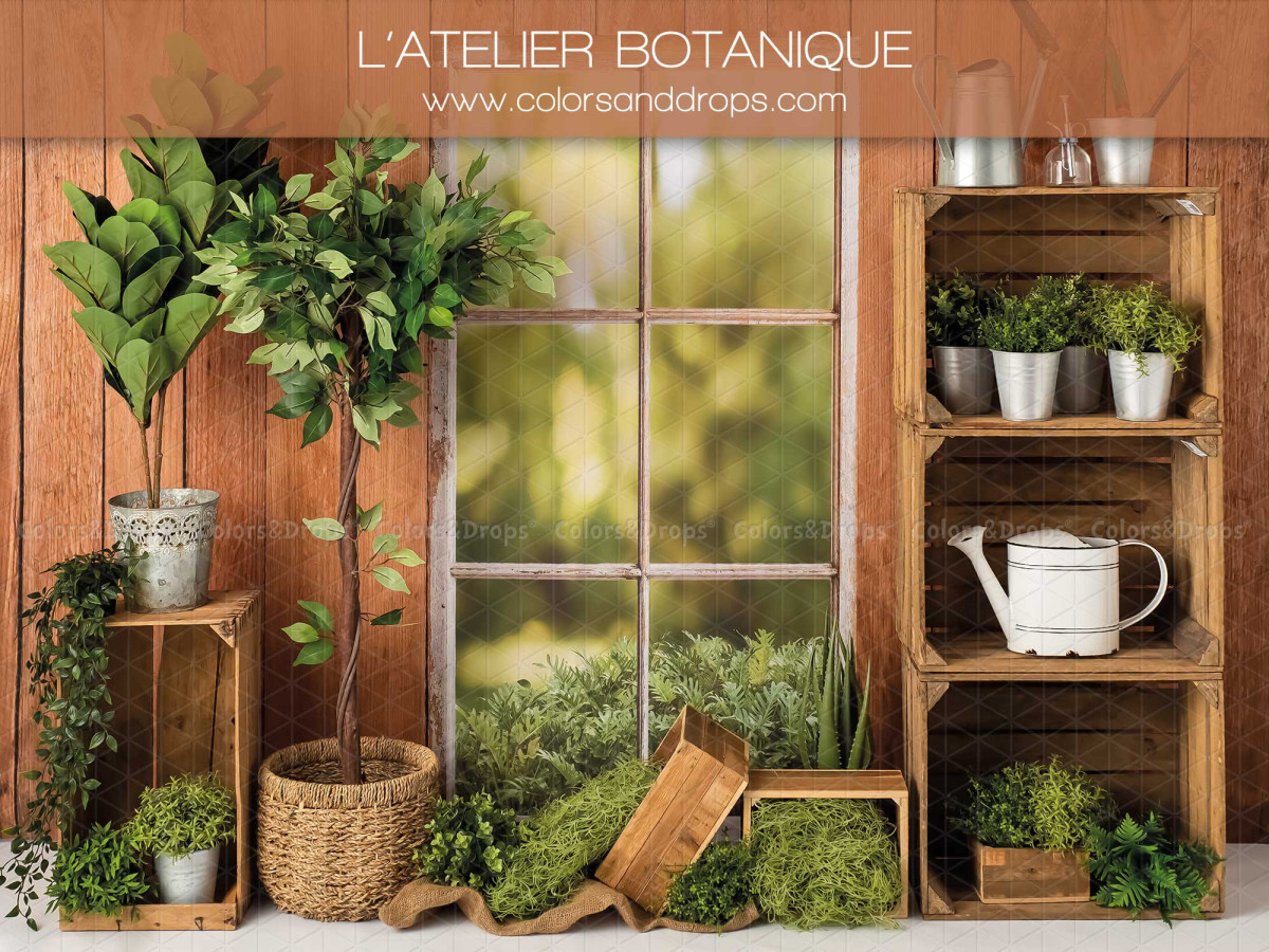 Fond photo bébé et smash cake L'Atelier Botanique – atelier botanique en bois avec fenêtre et plantes | Colors&Drops
