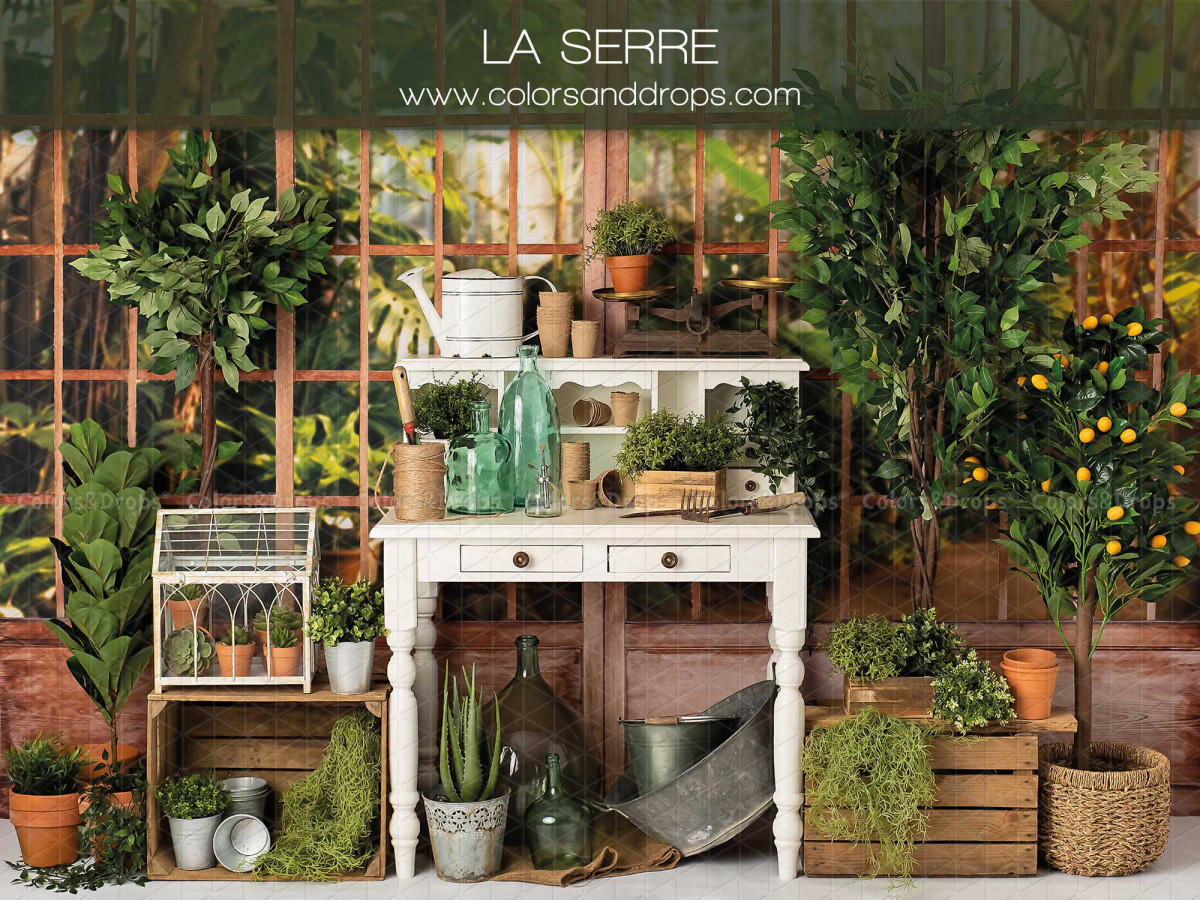 Fond photo bébé et smash cake La Serre – serre avec console blanche et plantes en pots | Colors&Drops