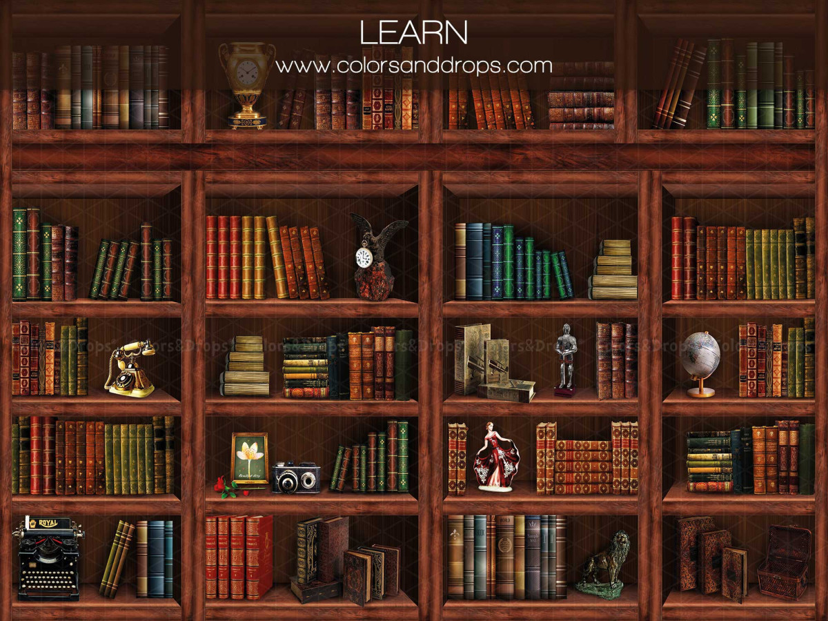 School portrait photo backdrop Learn – wooden bookcase full of old books | Colors&Drops