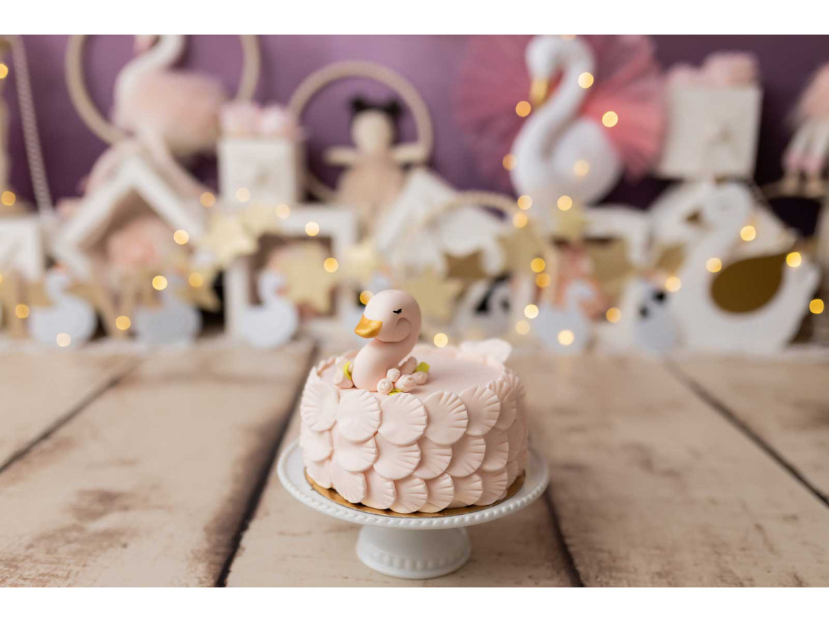 Fond photo bébé et smash cake Le Ballet des Cygnes – ballons roses avec cygnes, ballerine et cerceaux | Colors&Drops