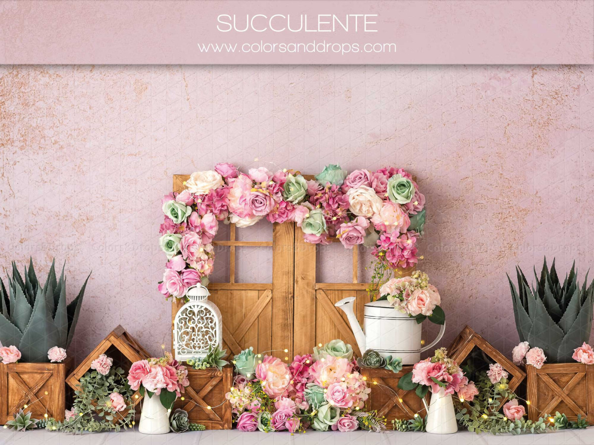 Fond photo bébé et smash cake Succulente – porte en bois fleurie avec succulentes sur mur rose | Colors&Drops