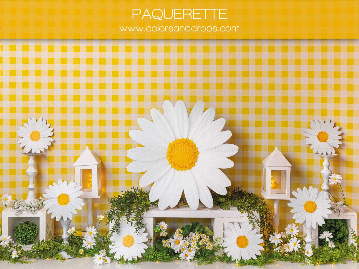 Fond photo bébé et smash cake Paquerette – nappe vichy jaune avec marguerites géantes | Colors&Drops