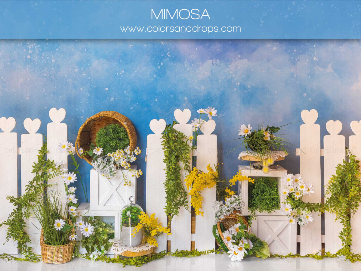 Fond photo bébé et smash cake Mimosa – clôture blanche avec mimosa et lierre sous ciel bleu | Colors&Drops