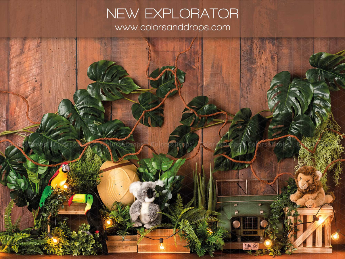Fond photo bébé et smash cake New Explorator – mur en bois avec plantes tropicales, koala et jeep | Colors&Drops