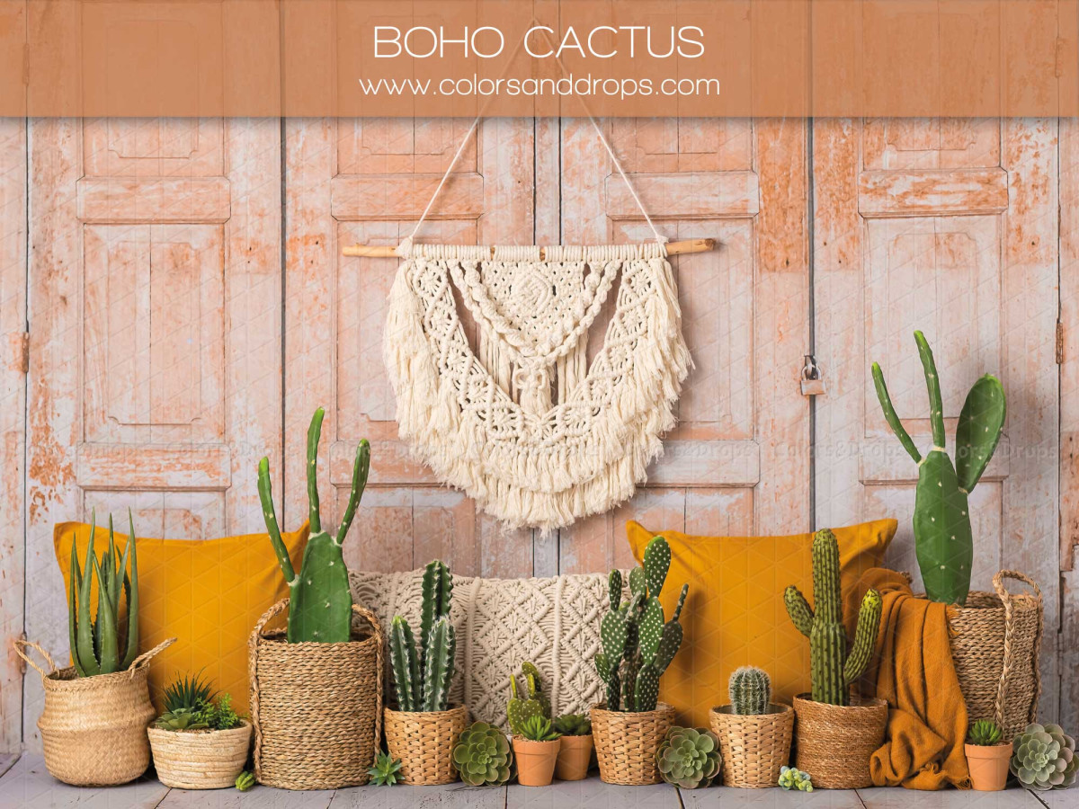 Fond photo bébé et smash cake Boho Cactus – mur en bois avec macramé, cactus et coussins | Colors&Drops