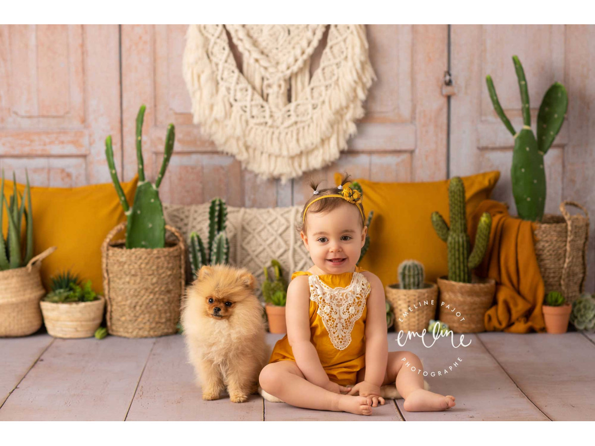 Fond photo bébé et smash cake Boho Cactus – mur en bois avec macramé, cactus et coussins | Colors&Drops