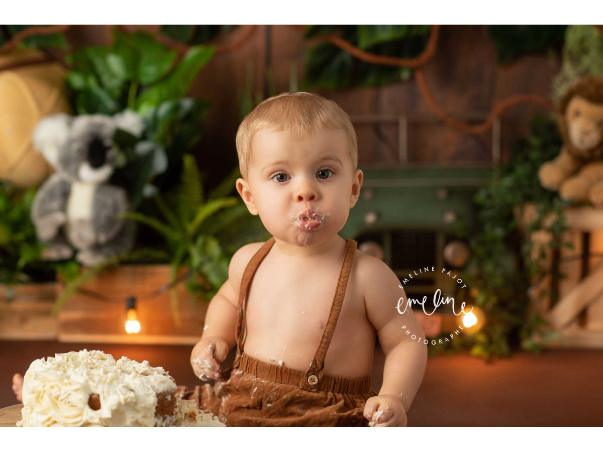 Fond photo bébé et smash cake New Explorator – mur en bois avec plantes tropicales, koala et jeep | Colors&Drops