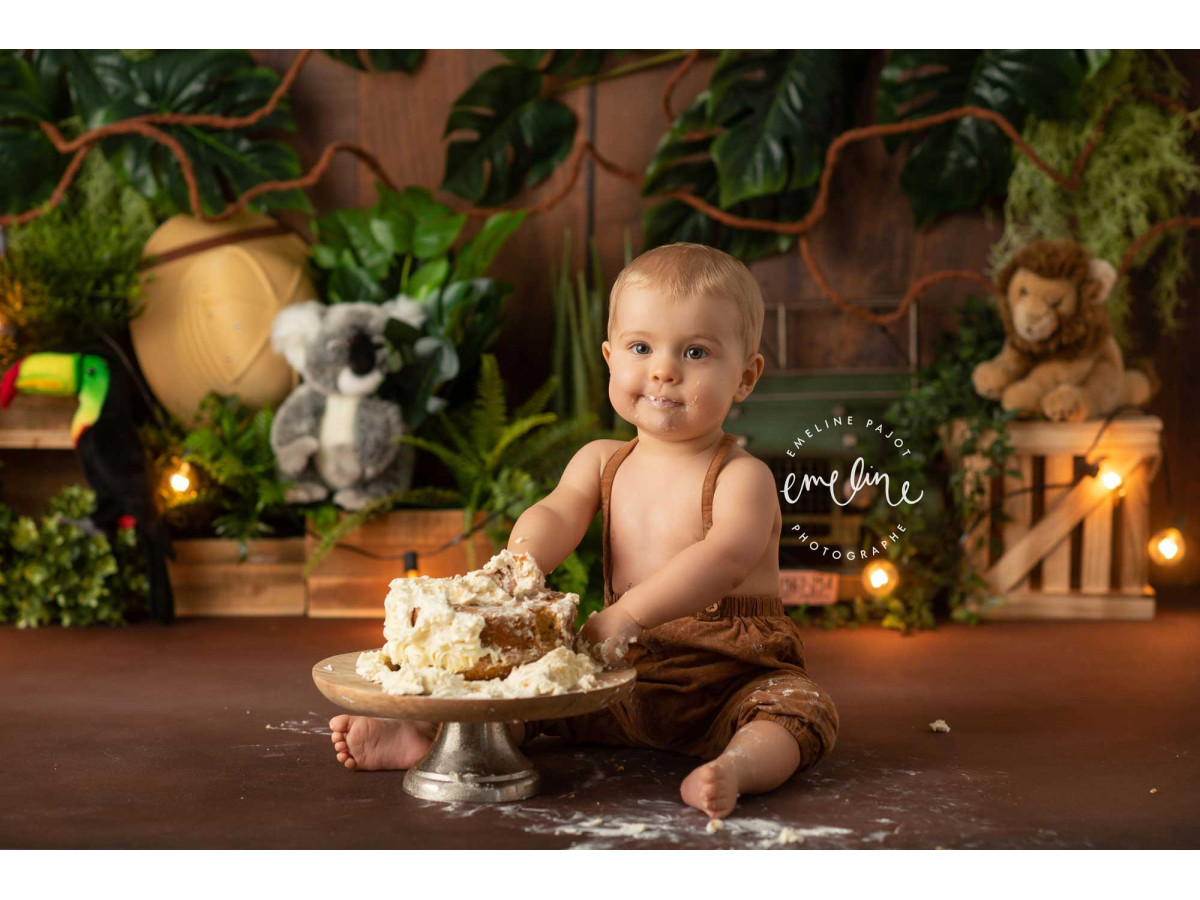 Fond photo bébé et smash cake New Explorator – mur en bois avec plantes tropicales, koala et jeep | Colors&Drops