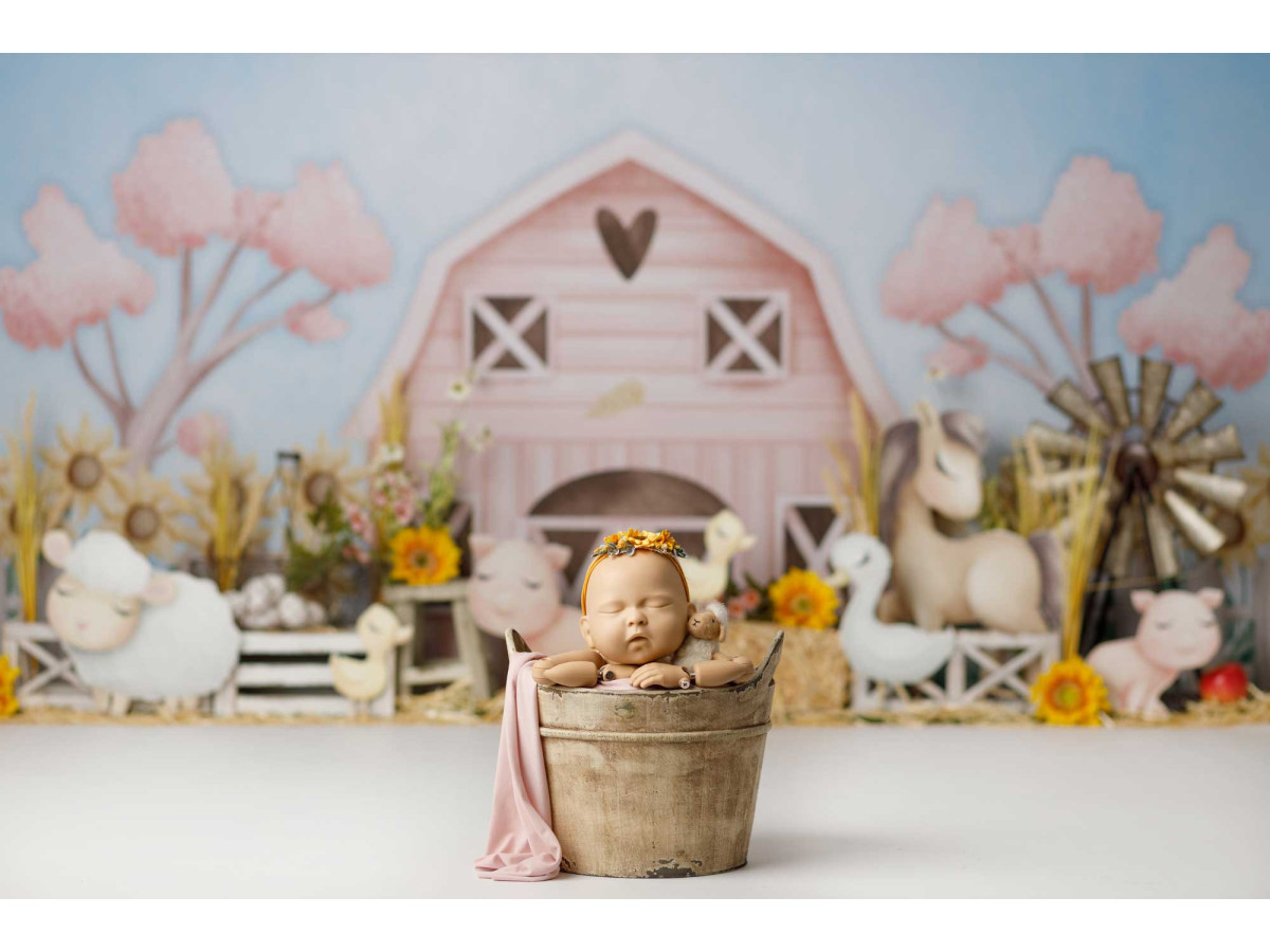 Fond photo bébé et smash cake Pastel Farma – ferme pastel avec grange rose et animaux en peluche | Colors&Drops