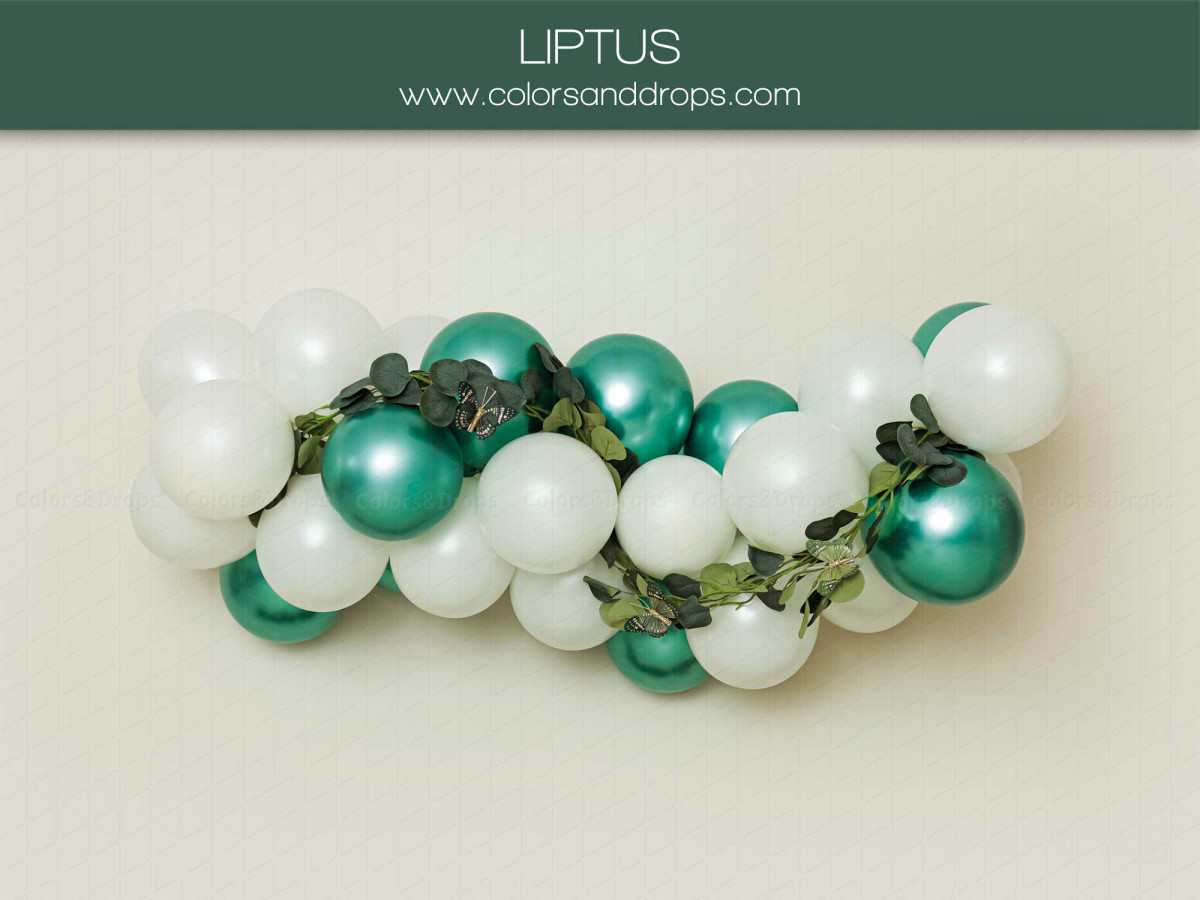Fond photo bébé et smash cake Liptus – guirlande de ballons blancs et verts avec eucalyptus | Colors&Drops