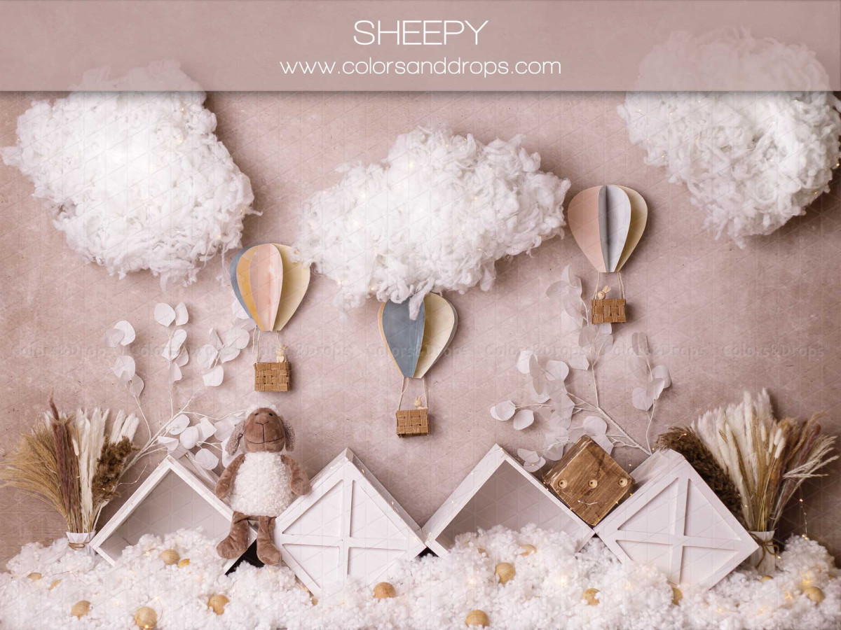 Fondo fotográfico de bebé y smash cake Sheepy – nubes de algodón con globos aerostáticos y casas de papel | Colors&Drops