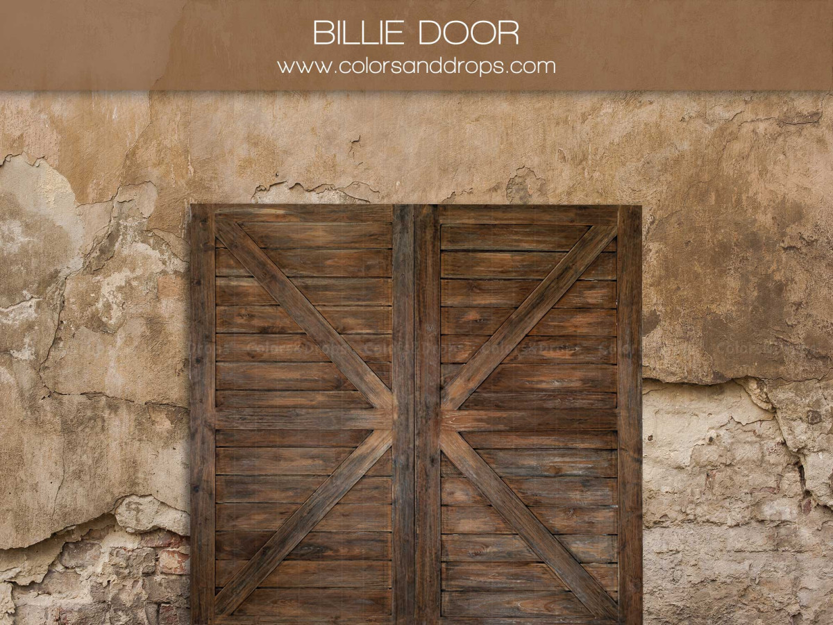 Fond photo Billie Door – porte de grange en bois sur mur en pierre décrépi | Colors&Drops