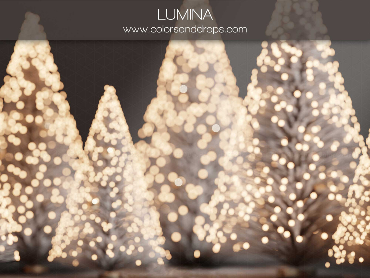 Fondo fotográfico de Navidad Lumina – abetos luminosos centelleantes con bokeh | Colors&Drops