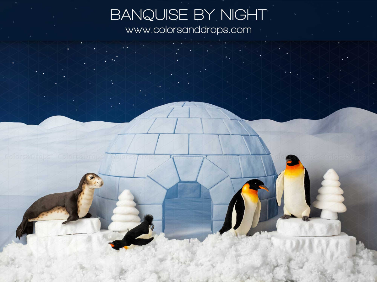 Baby & cake smash photo backdrop Banquise by Night – igloo on pack ice at night with penguins and seal | Colors&Drops
