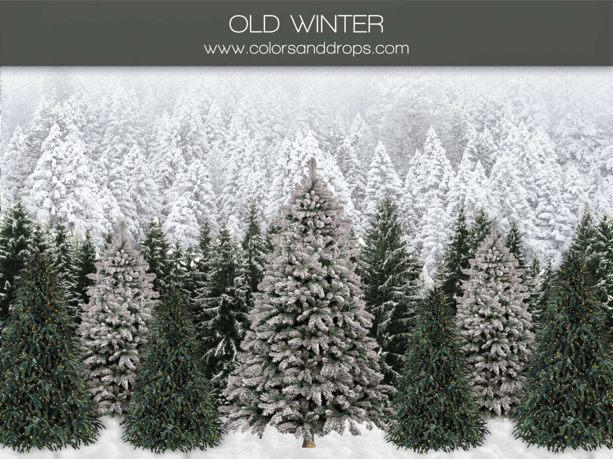 Fondo fotográfico de Navidad Old Winter – bosque de abetos nevados | Colors&Drops