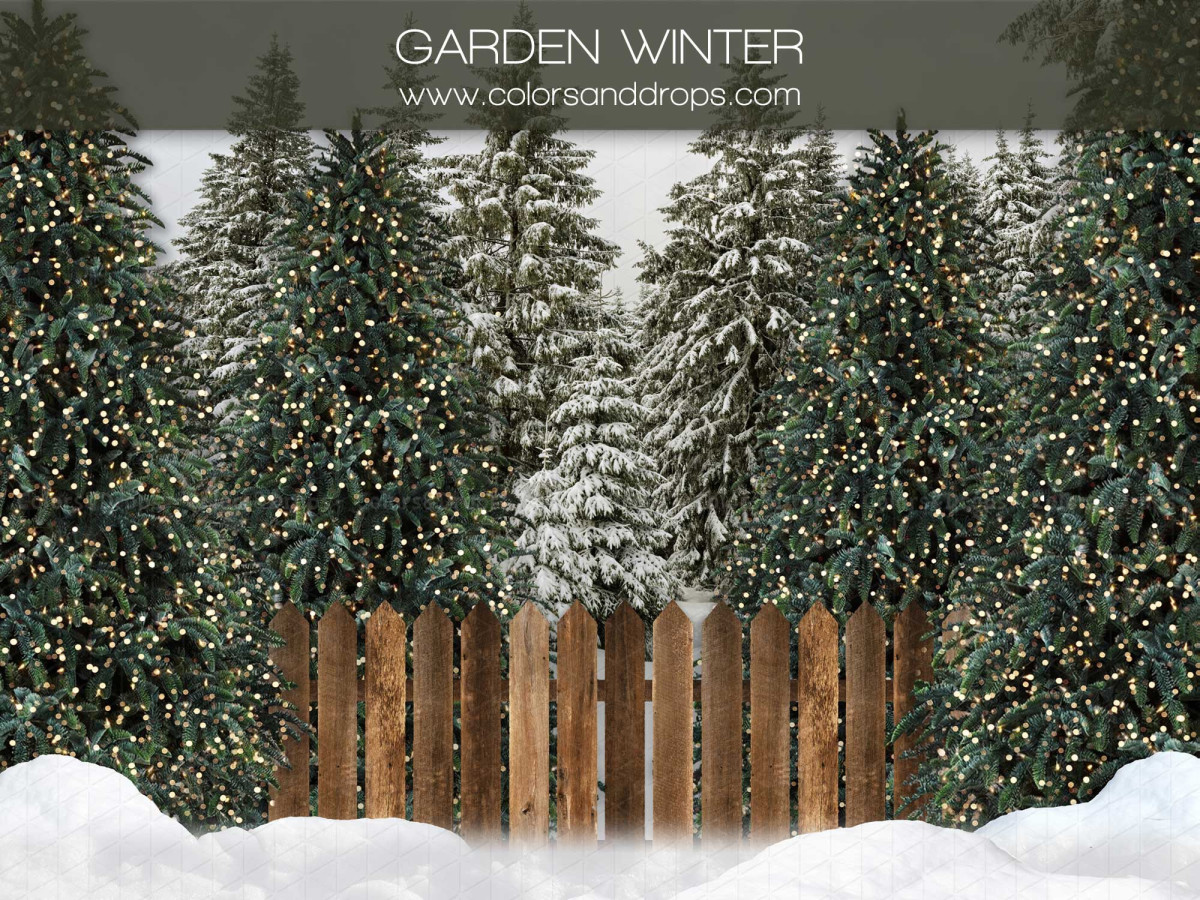 Fond photo de Noël Garden Winter – palissade en bois dans forêt de sapins lumineux | Colors&Drops