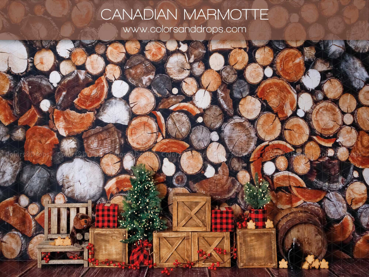 Christmas photo backdrop Canadian Marmotte – log pile with small fir trees and crates | Colors&Drops