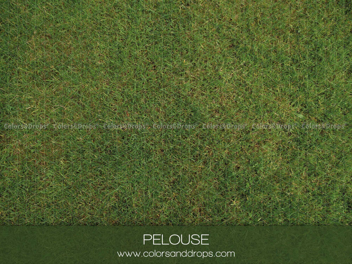 Winter photo backdrop & floor Pelouse – dense green grass lawn floor | Colors&Drops