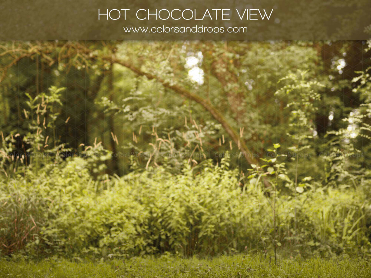 Fond photo de Noël Hot Chocolate View – sous-bois verdoyant avec buissons et lumière | Colors&Drops