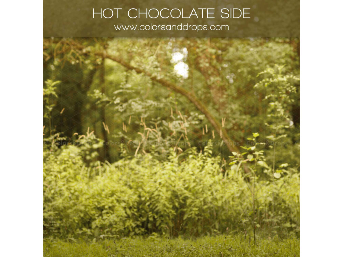 Fond photo latéral de Noël Hot Chocolate Side – sous-bois verdoyant format portrait | Colors&Drops