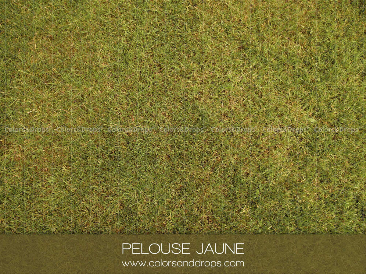 Winter photo backdrop & floor Pelouse Jaune – yellowed grass lawn floor | Colors&Drops