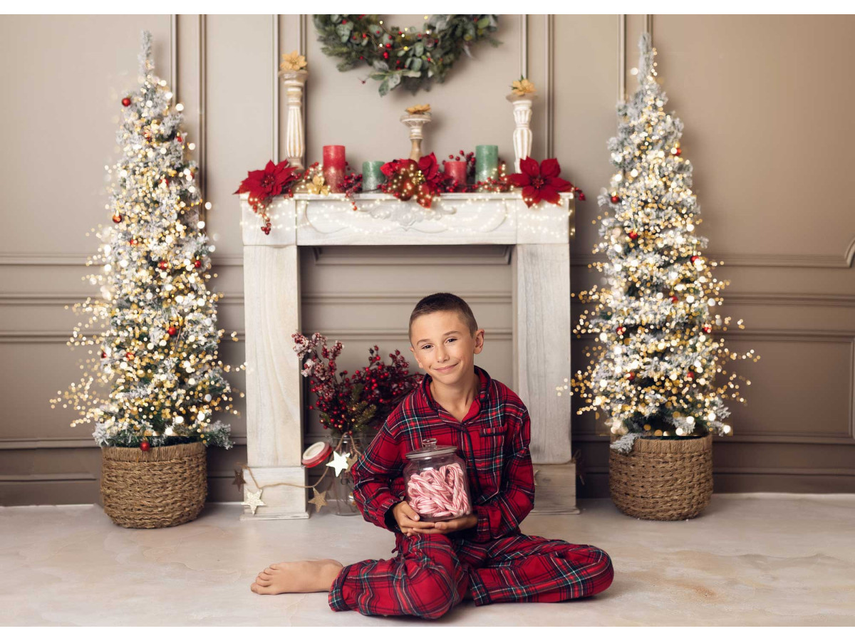 Christmas photo backdrop Home – white fireplace with wreath and snowy trees on panelling | Colors&Drops