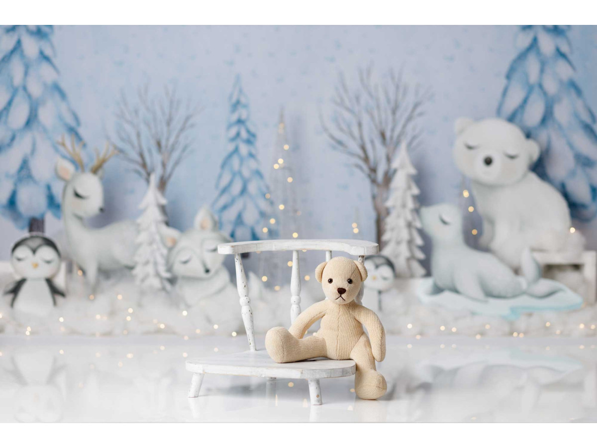 Fond photo bébé et smash cake Songe des Glaces – forêt glacée avec ours polaires, rennes et pingouins | Colors&Drops
