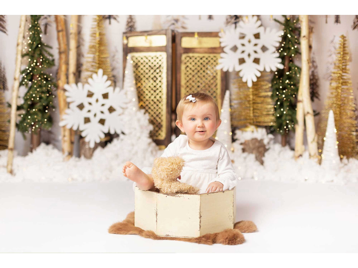 Photo backdrop Noel en Or – gold birch forest with door and snowflakes | Colors&Drops