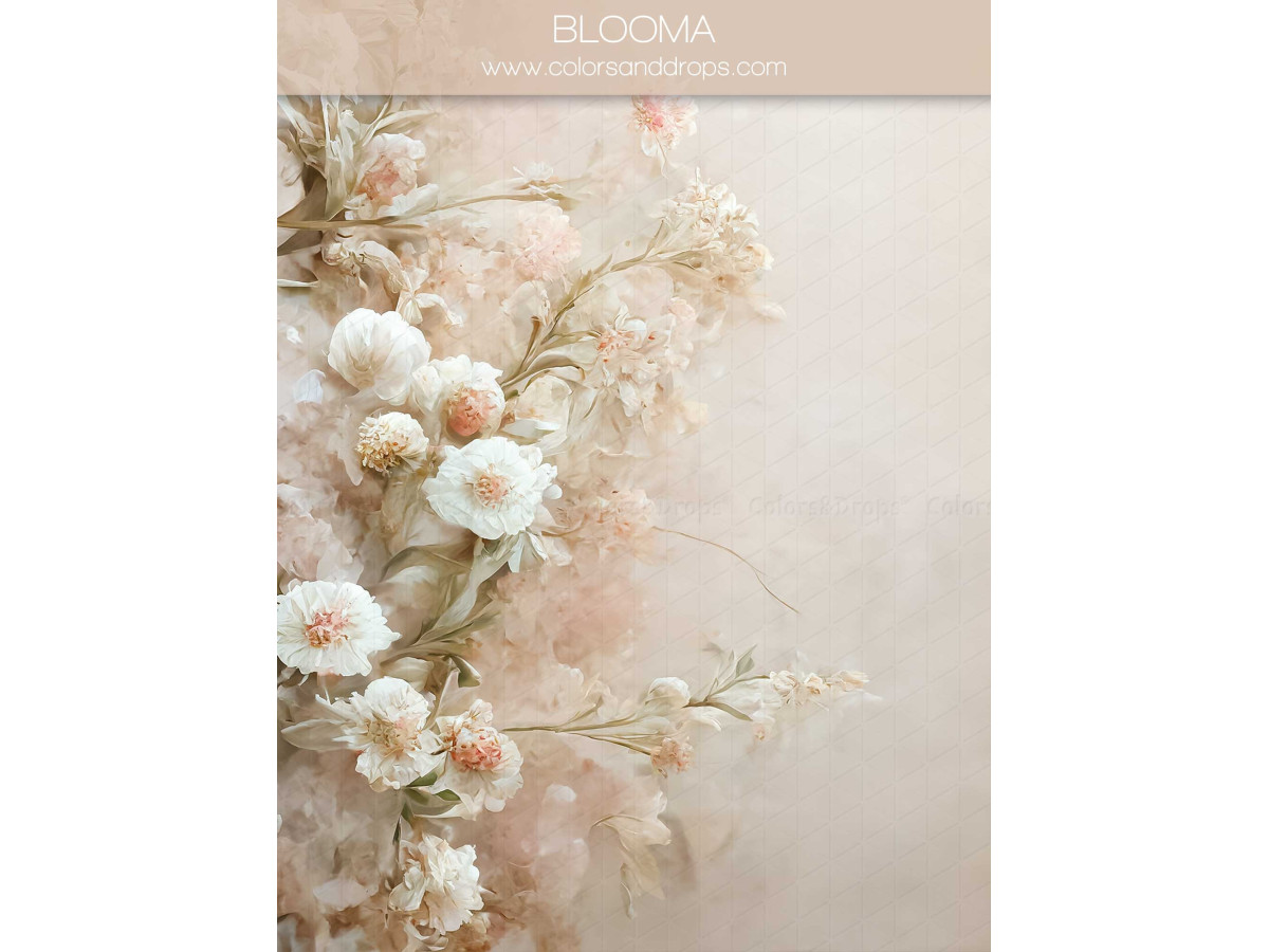 Maternity & portrait photo backdrop Blooma – painted white flowers along the edge on rosy background | Colors&Drops