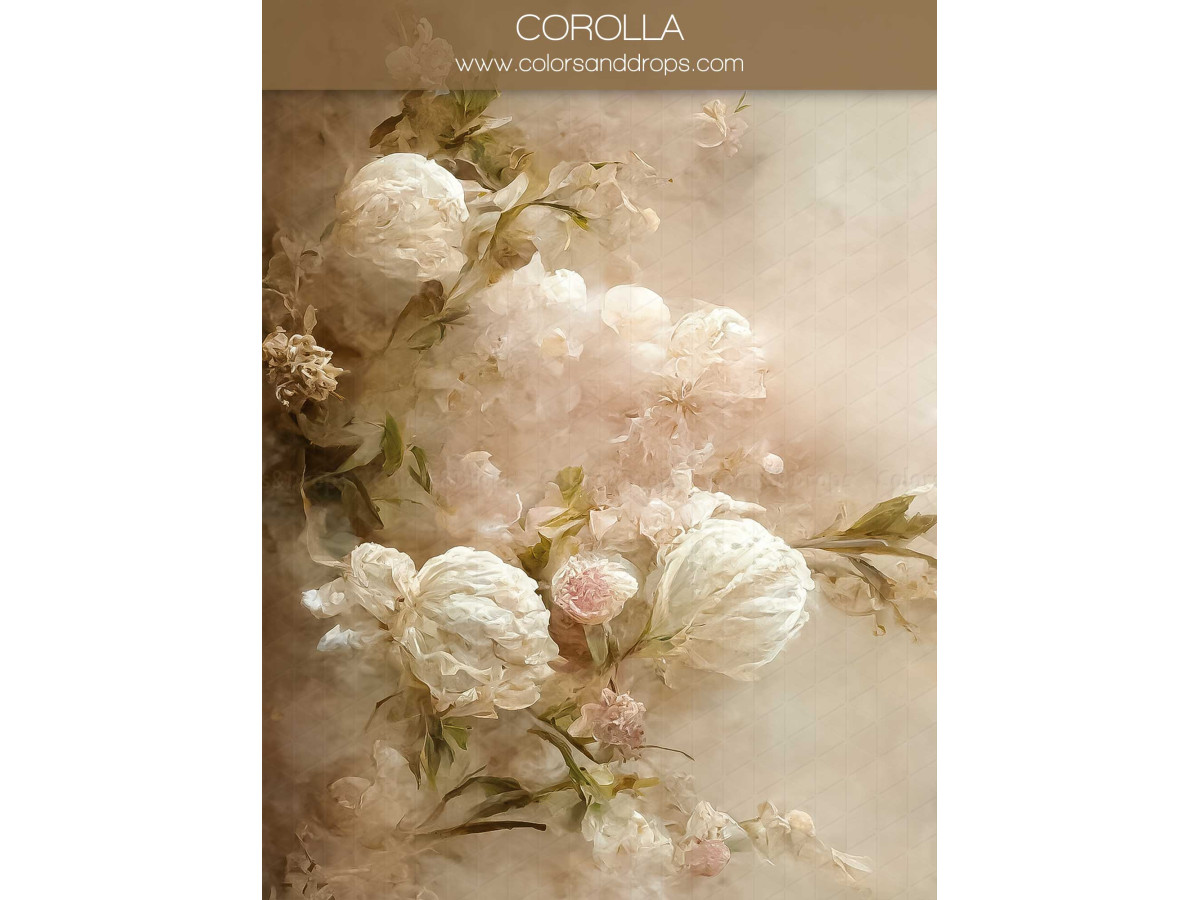 Maternity & portrait photo backdrop Corolla – painted white roses on rosy cream background | Colors&Drops