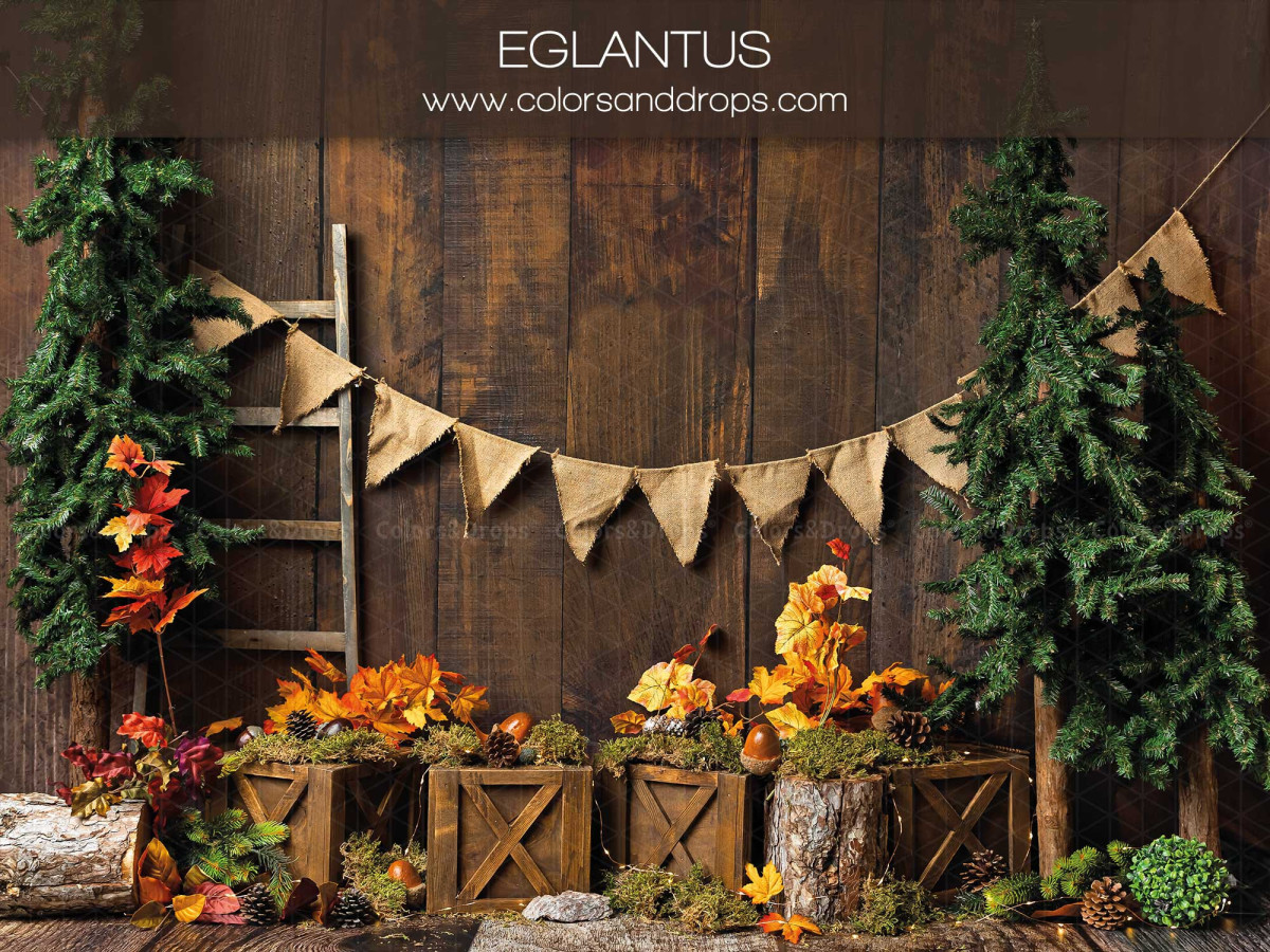 Baby & cake smash photo backdrop Eglantus – wooden wall with burlap bunting and autumn flowers | Colors&Drops