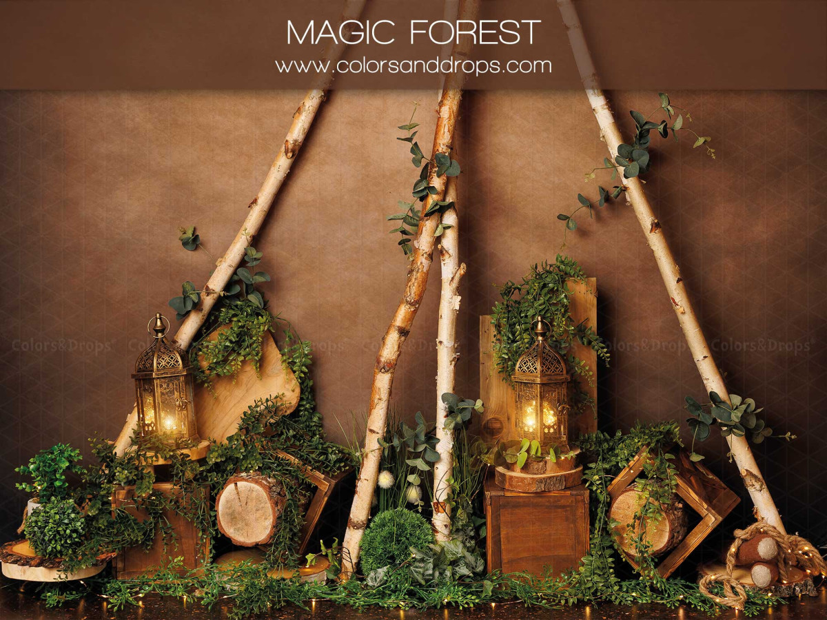 Fond photo bébé et smash cake Magic Forest – tipi en bouleau avec lanternes, mousse et caisses | Colors&Drops