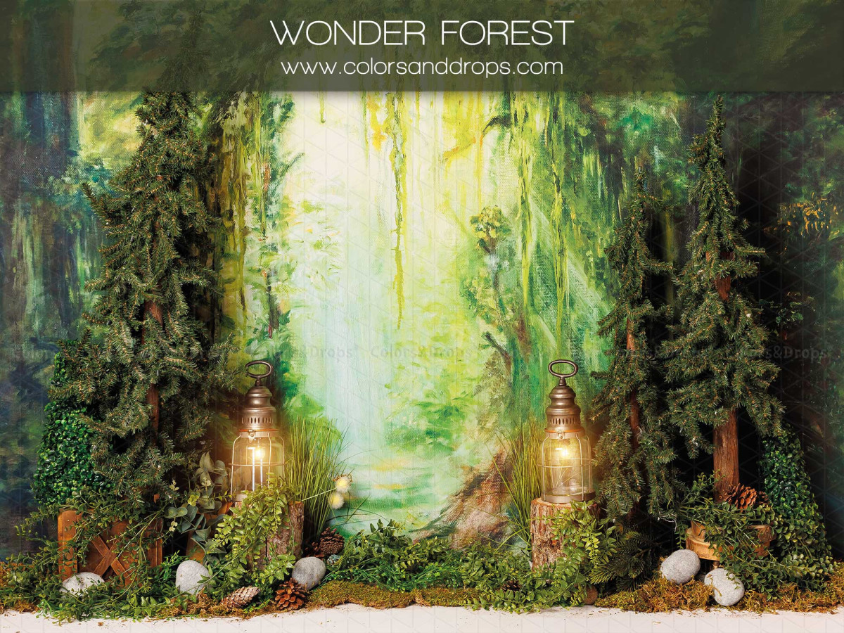 Baby & cake smash photo backdrop Wonder Forest – painted enchanted forest with lanterns and mushrooms | Colors&Drops