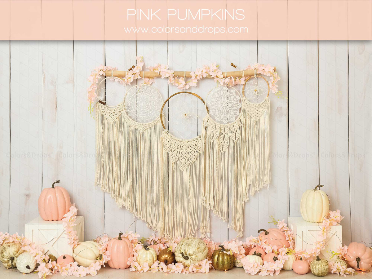 Fond photo bébé et smash cake Pink Pumpkins – mur en bois blanc avec macramé et citrouilles roses | Colors&Drops