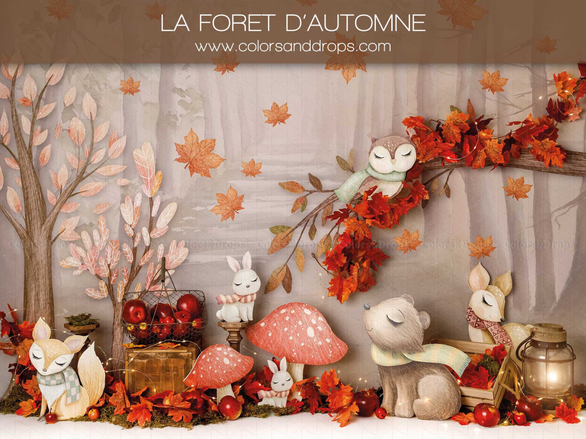 Fond photo bébé et smash cake La Foret D'Automne – forêt d'automne avec renards, champignons et feuilles | Colors&Drops