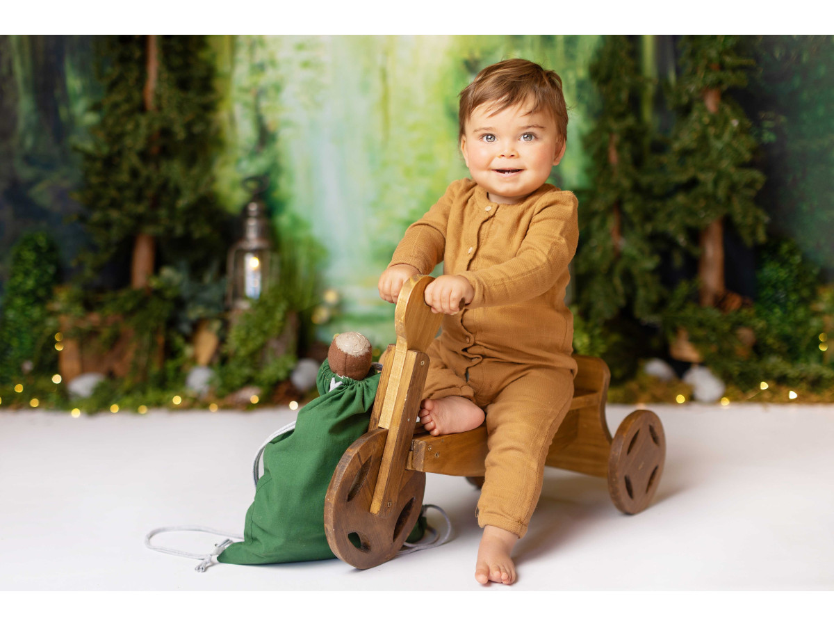 Baby & cake smash photo backdrop Wonder Forest – painted enchanted forest with lanterns and mushrooms | Colors&Drops