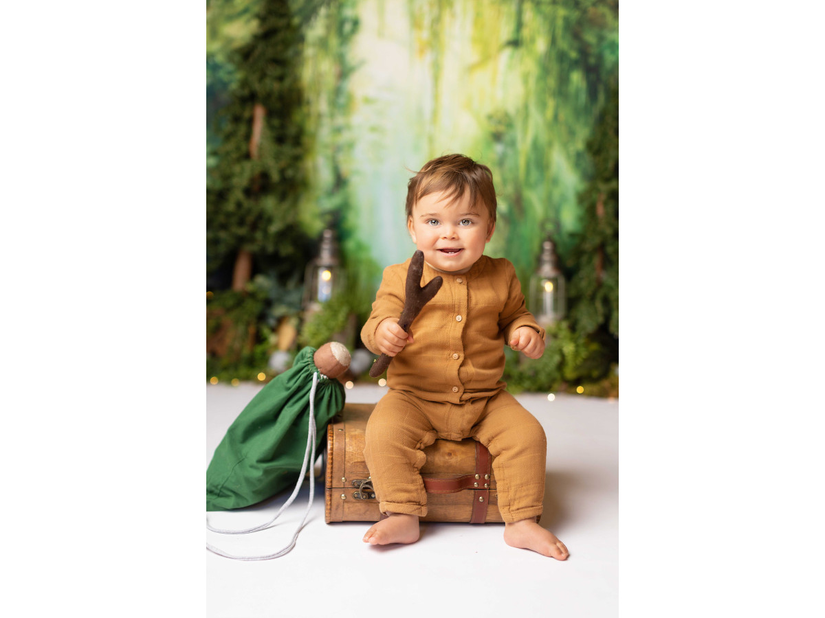 Baby & cake smash photo backdrop Wonder Forest – painted enchanted forest with lanterns and mushrooms | Colors&Drops