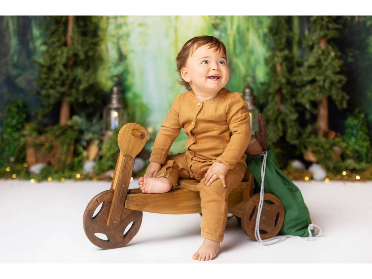 Baby & cake smash photo backdrop Wonder Forest – painted enchanted forest with lanterns and mushrooms | Colors&Drops