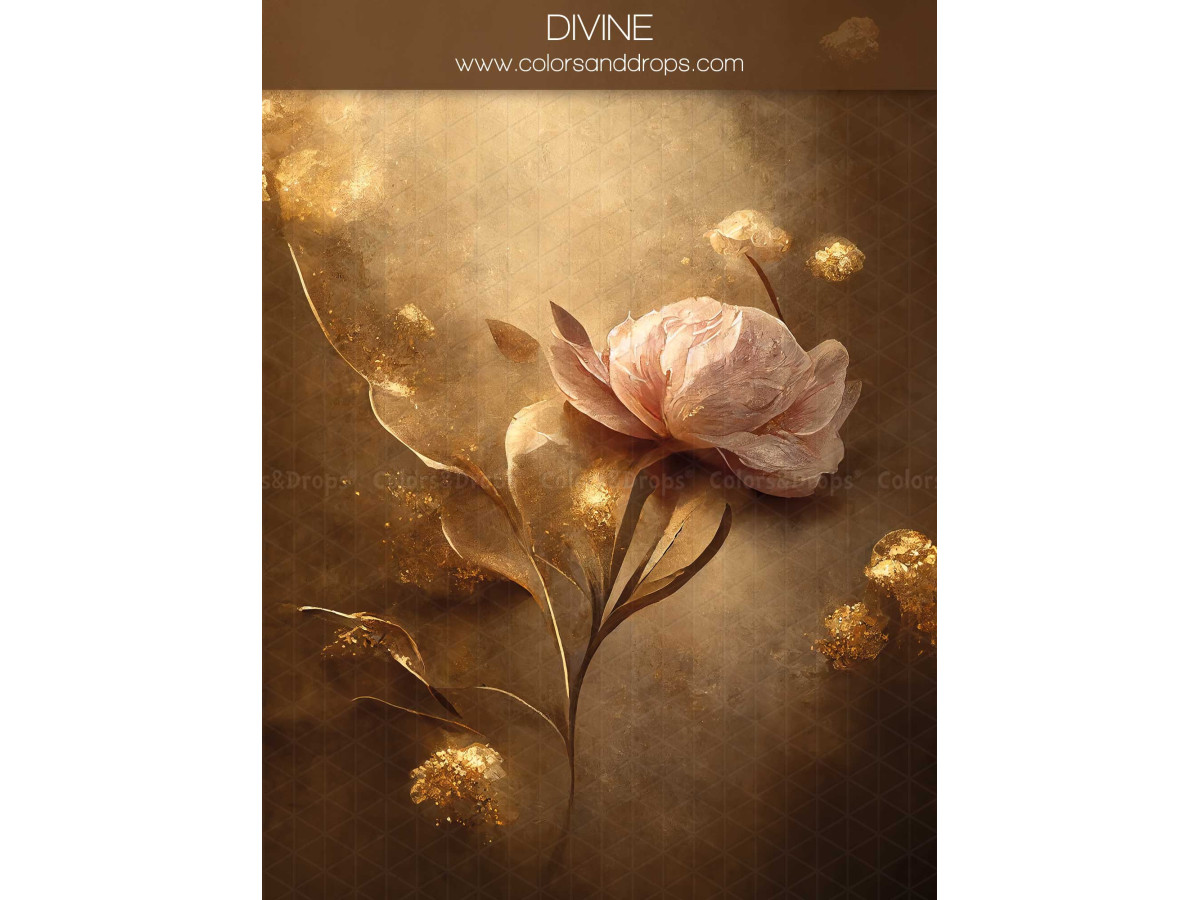 Fond photo grossesse et portrait Divine – fleur rose et ornements dorés sur fond ambré | Colors&Drops