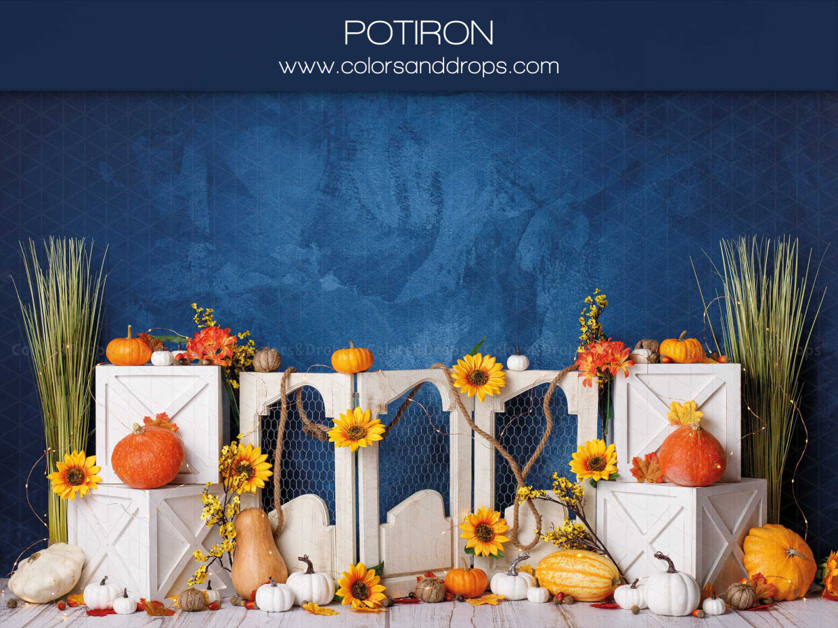 Fond photo bébé et smash cake Potiron – citrouilles et tournesols sur colonnes blanches devant mur bleu | Colors&Drops
