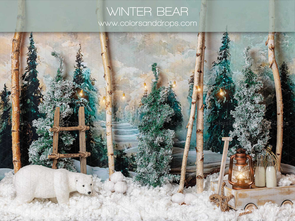 Fondo fotográfico de bebé y smash cake Winter Bear – bosque de abedules nevado con oso polar y escalera | Colors&Drops