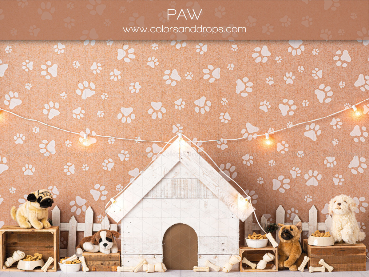 Fond photo bébé et smash cake Paw – niche blanche sur papier peint pattes de chien | Colors&Drops