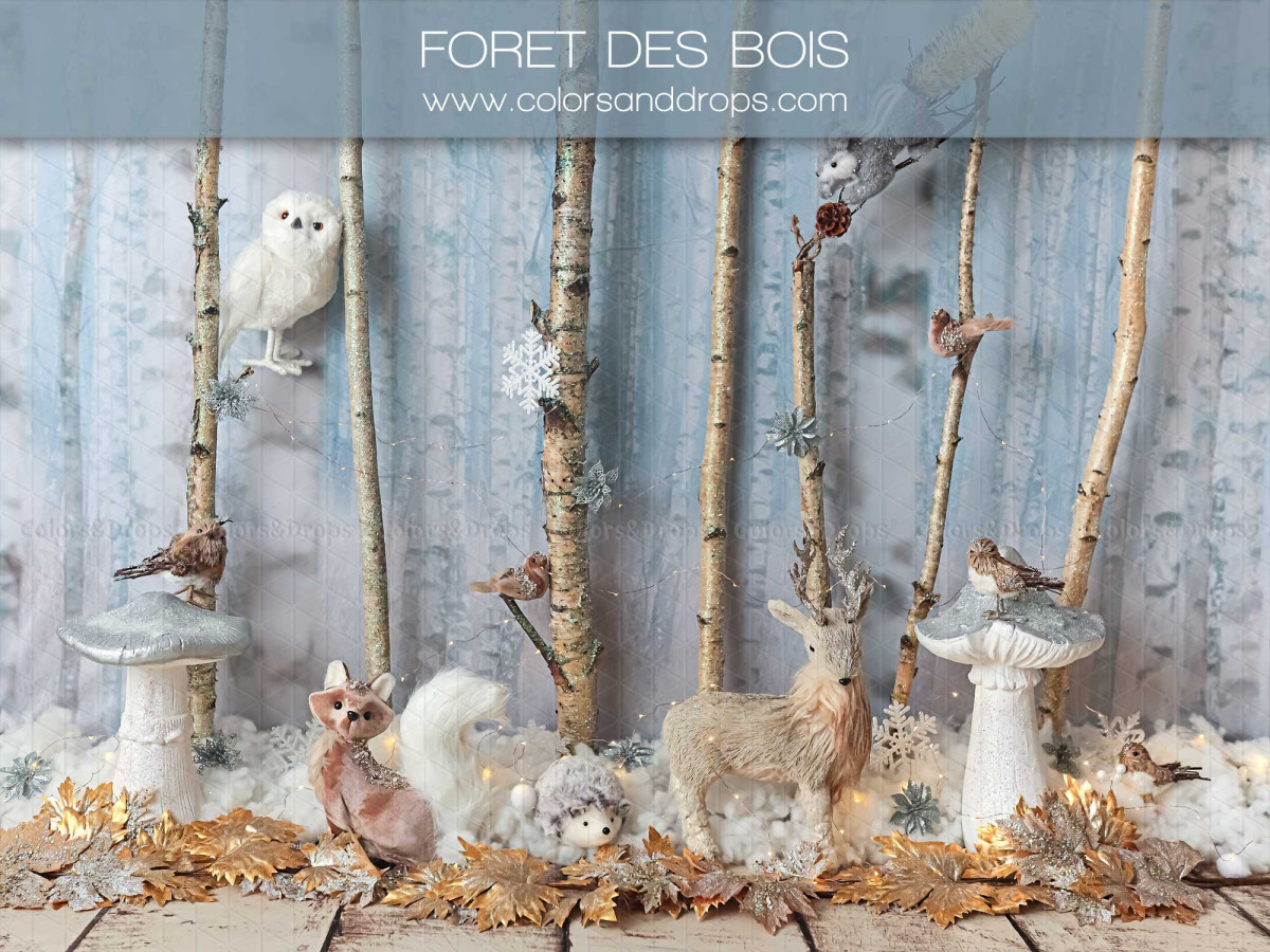 Fondo fotográfico de bebé y smash cake Foret des Bois – bosque de abedules con ciervo, búho y setas | Colors&Drops