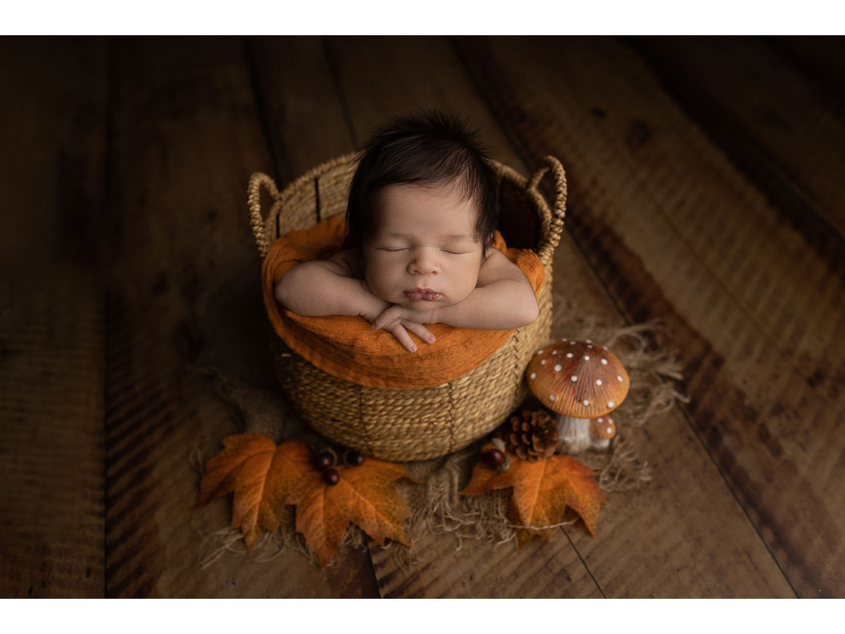 Photo floor Harvard – light brown wooden planks | Colors&Drops