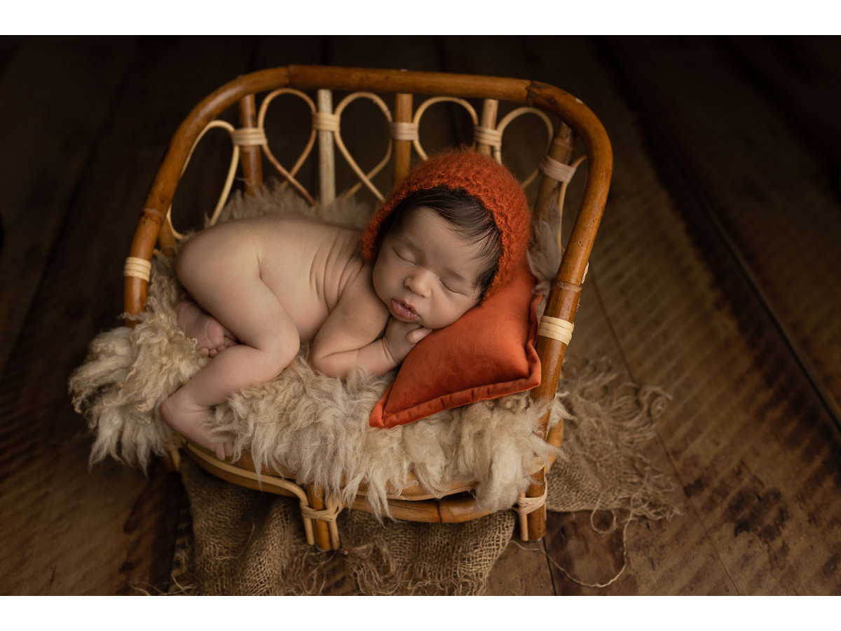 Photo floor Harvard – light brown wooden planks | Colors&Drops